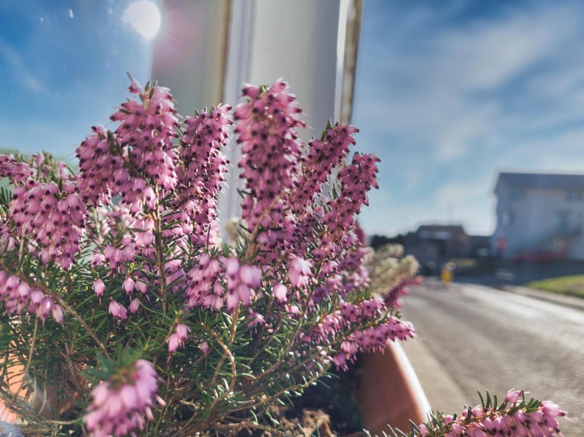 Appartamento The Heathers - Near Beach & Free Golf Bag & Clubs. Maybole Esterno foto